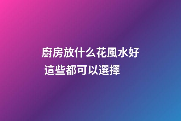 廚房放什么花風水好 這些都可以選擇